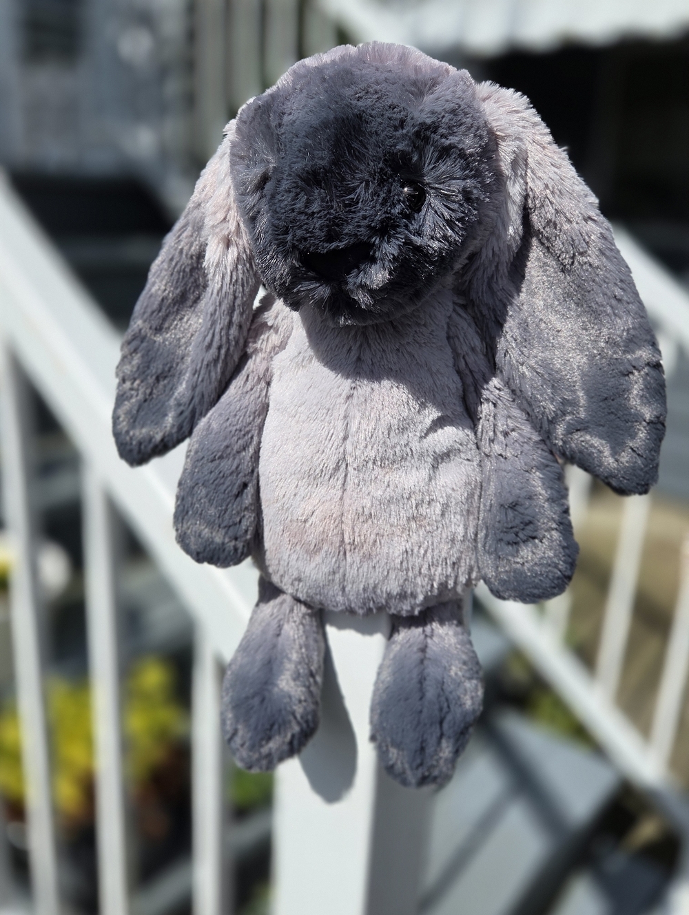 NWT Customized Jellycat Medium Bashful Bunny " Bradley" - Picture 3 of 7